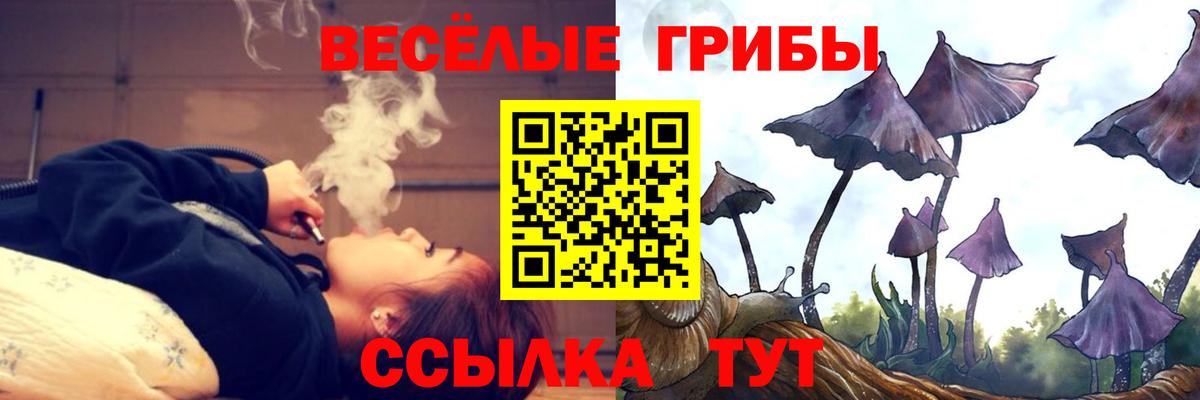 Галлюциногенные грибы Cubensis Аша
