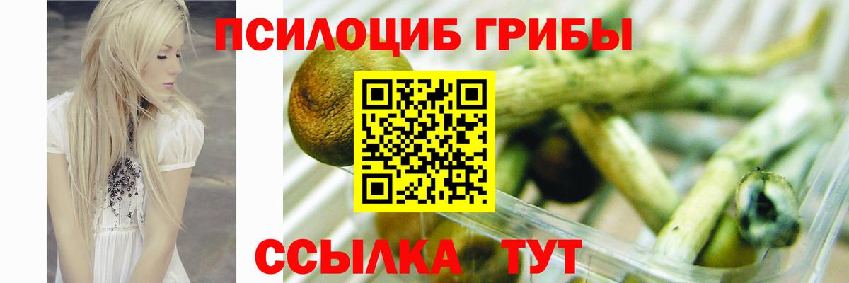 Псилоцибиновые грибы ЛСД  Галлюциногенные грибы ЛСД  Аша  Вход с VPN 